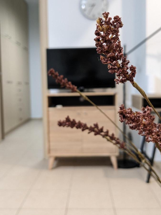 Cozy Apartment Near The City Centre Ηράκλειο Κρήτης Εξωτερικό φωτογραφία